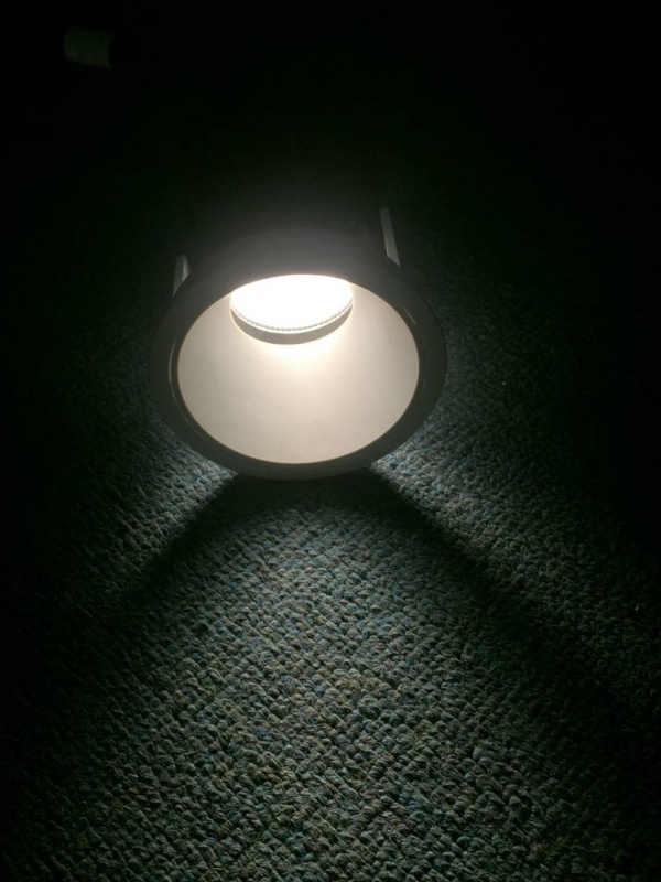 Citizen LED燈